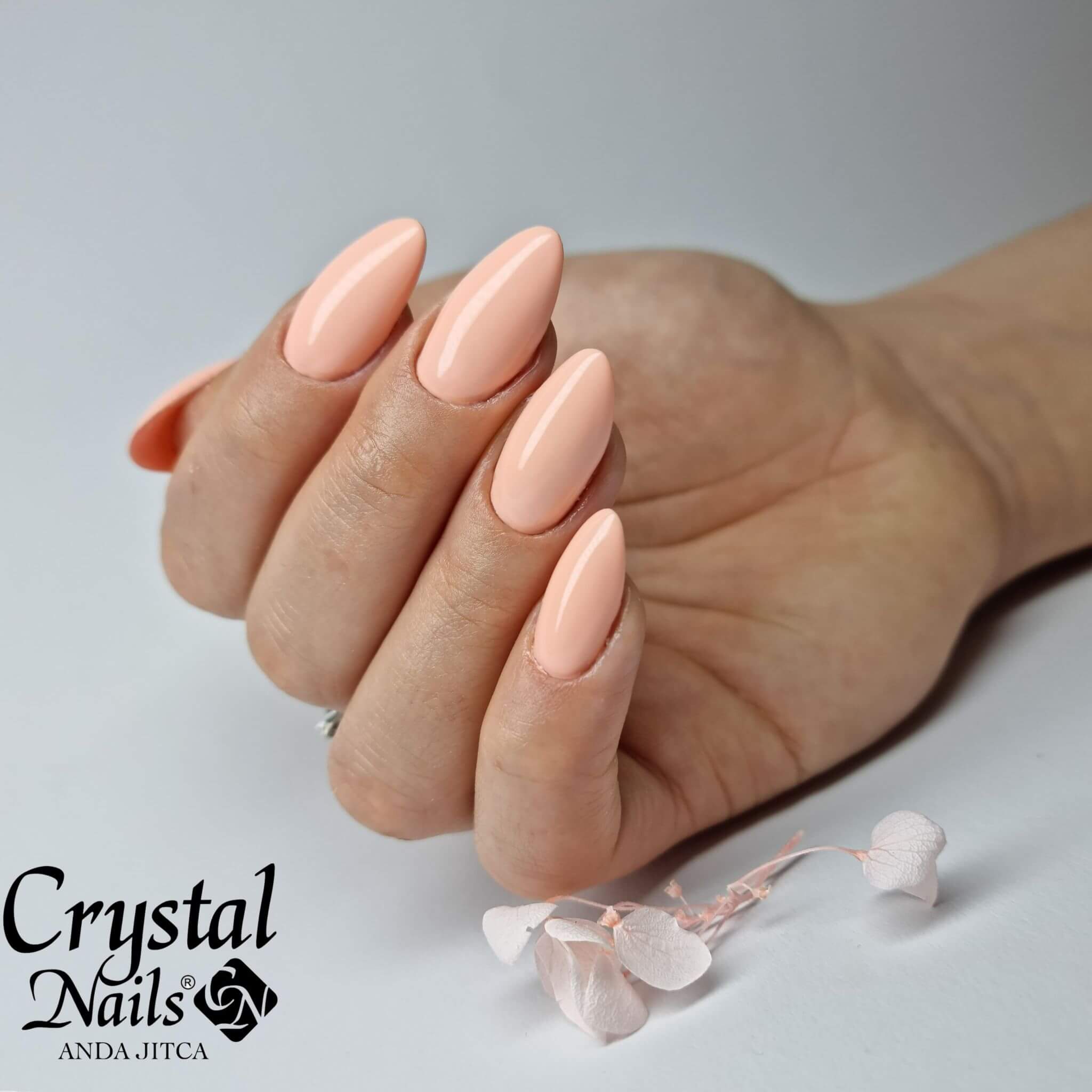 CN 3S Crystalac 8ml #081 - Majestic flamingo THF - Image 2