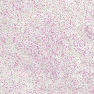 MN_chameleon_chrome_2_pink_szin