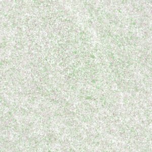MN_chameleon_chrome_3_green_szin