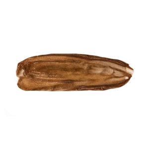 Thuya-brown1